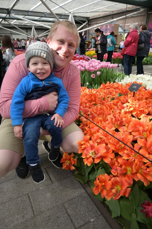 Tulip Gardens Outside Amsterda,