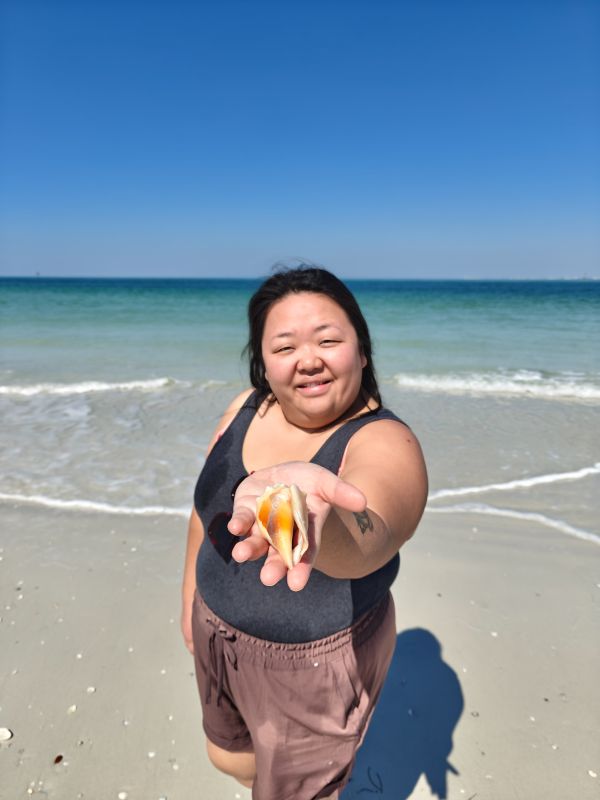 Collecting Seashells in Tampa Florida