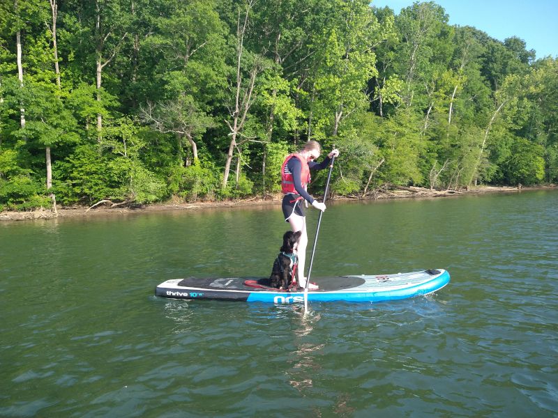 Paddleboarding With the Pup